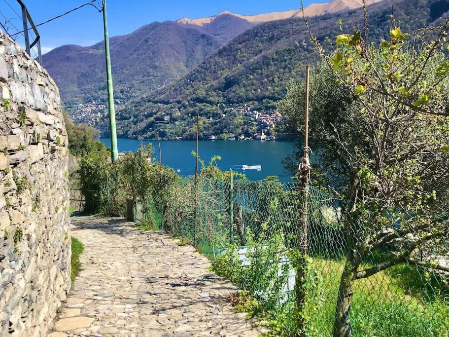 Romantic Home Stone With Amazing View Lake Of Como And Oleandra Laglio Bagian luar foto
