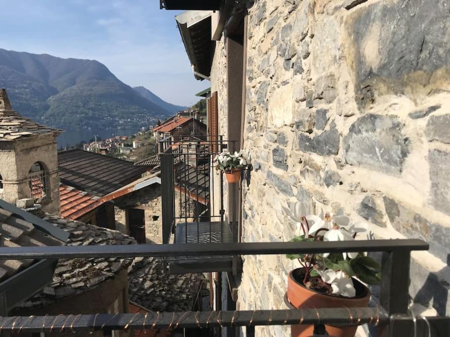 Romantic Home Stone With Amazing View Lake Of Como And Oleandra Laglio Bagian luar foto