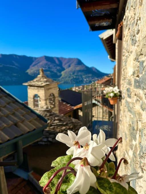 Romantic Home Stone With Amazing View Lake Of Como And Oleandra Laglio Bagian luar foto