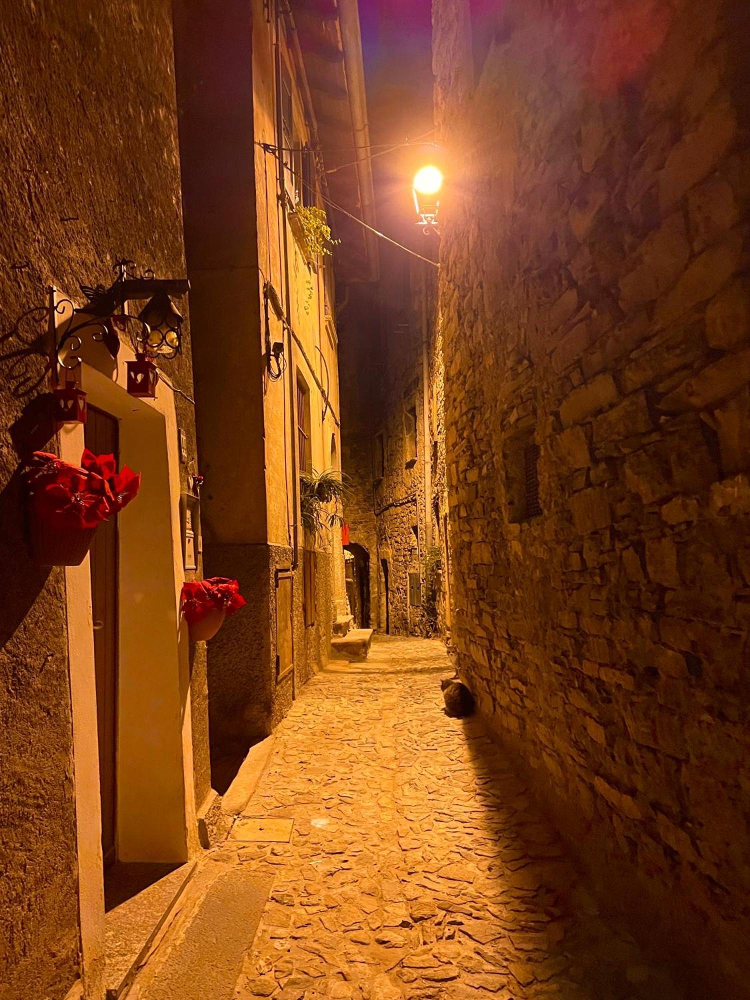 Romantic Home Stone With Amazing View Lake Of Como And Oleandra Laglio Bagian luar foto